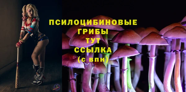 амф Баксан