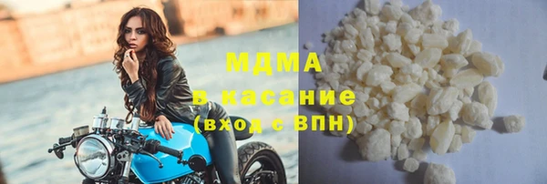 индика Сатка