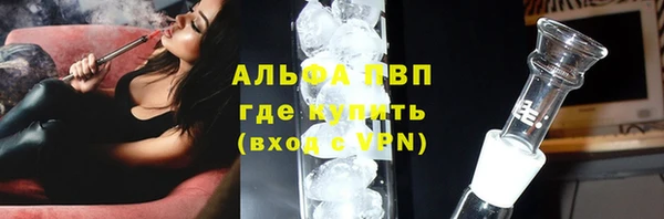 PSILOCYBIN Балахна