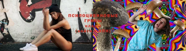амф Баксан