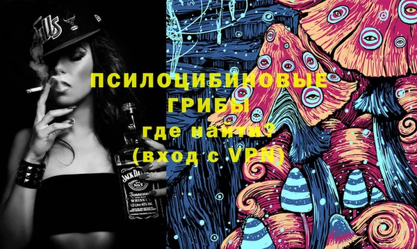PSILOCYBIN Балахна