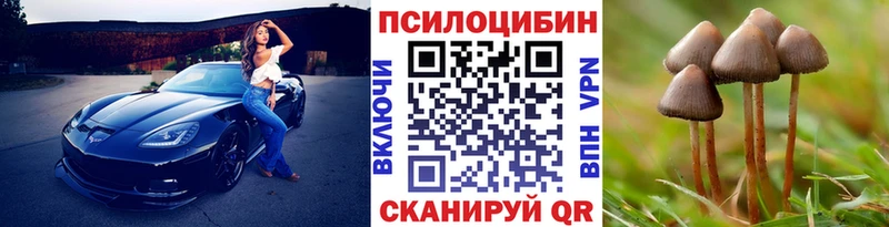 где купить   Большой Камень  Галлюциногенные грибы Psilocybine cubensis 